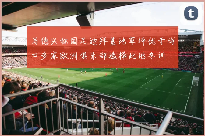 马德兴称国足迪拜基地草坪优于海口多家欧洲俱乐部选择此地冬训