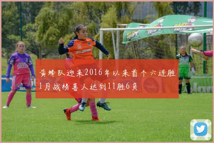 黄蜂队迎来2016年以来首个六连胜1月战绩喜人达到11胜6负